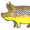 Fishmaster196